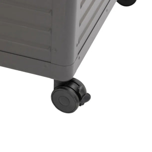 Coffre de rangement "Edenio" graphite M 141,6 x 72 x 78cm en aluminium 670 L