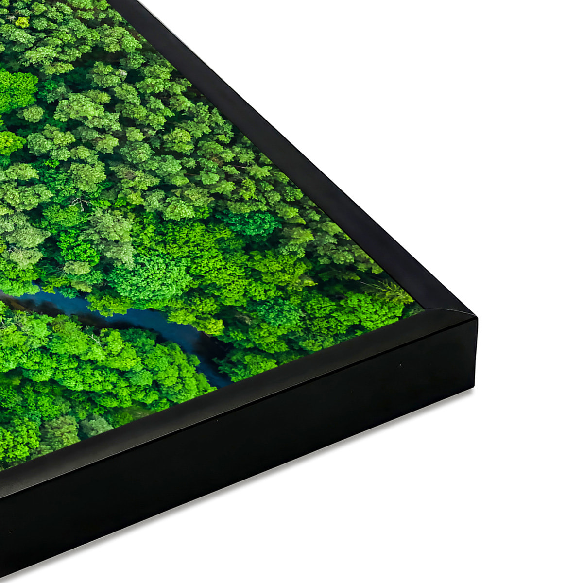 Affiche encadrée Vue aérienne d’une rivière traversant une forêt verte Affiche + cadre en métal - Noir