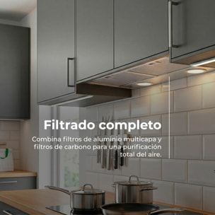 EVVO Campana Extractora Integrada CEi 55 Inox, 55 cm, 875 m³/h, A+++, Bajo Ruido, LED, Filtros de Aluminio y Carbón