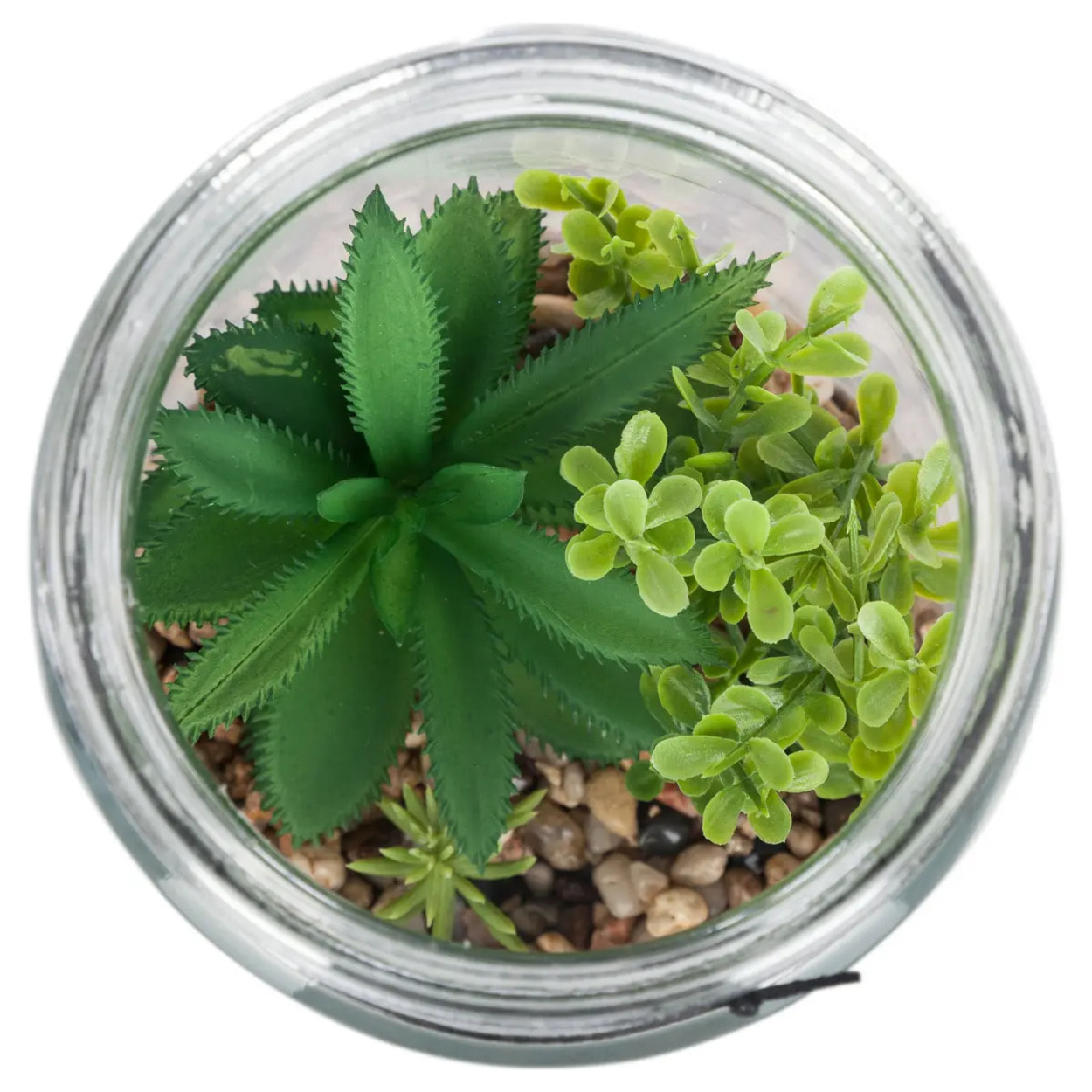 Terrarium avec plante artificielle - pot en verre et couvercle en bois - H22 cm