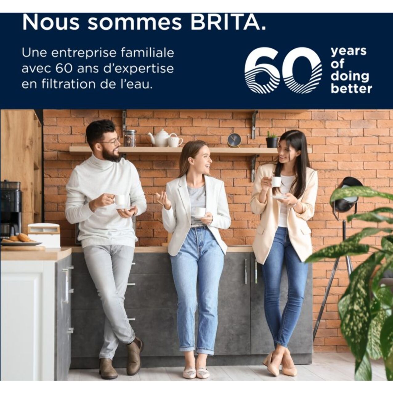 Cartouche filtrante BRITA pack de 2 cartouches Maxtra Pro Expert anti-tartre