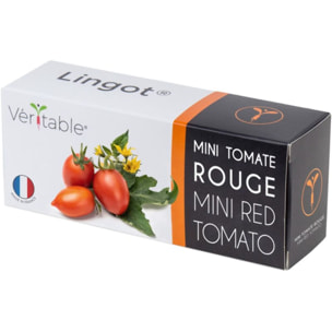 Recharge jardin d'intérieur VERITABLE mini tomate rouge