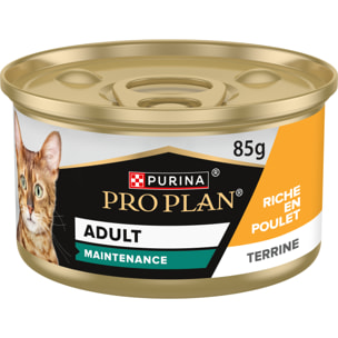 PRO PLAN Chat ADULT MAINTENANCE - Terrine riche en Poulet - 85g - Lot de 24