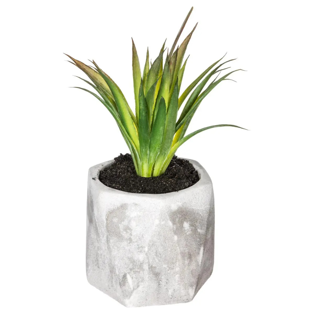 Plante grasse artificielle pot ciment H14cm