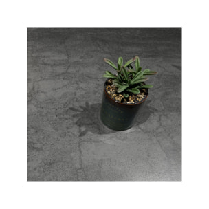 Table extensible 180 à 260 cm céramique gris pieds métal noir - FLY