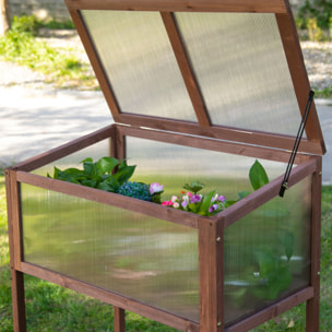 Mini serre sur pieds dim. 90L x 50l x 93H cm toit ouvrable panneaux de polycarbonate bois sapin traité