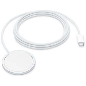 Chargeur induction APPLE Magsafe 2m USB-C