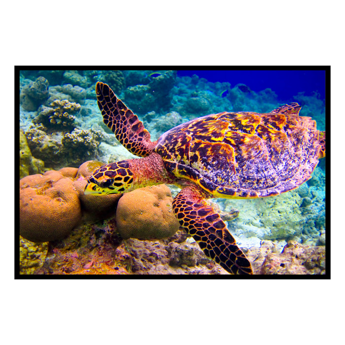 Affiche encadrée tortue marine sous l’eau Affiche + cadre en métal - Noir