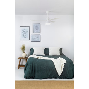 AMELIA L Ventilateur blanc/blanc Wall Control CCT