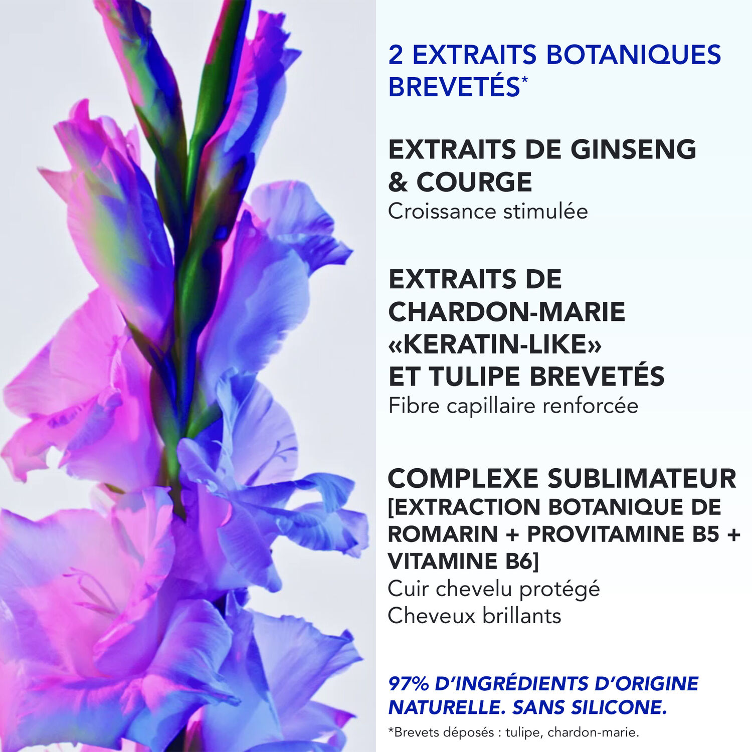 Phytophanere - Ultra Sérum Boosteur de Longueur 50ml