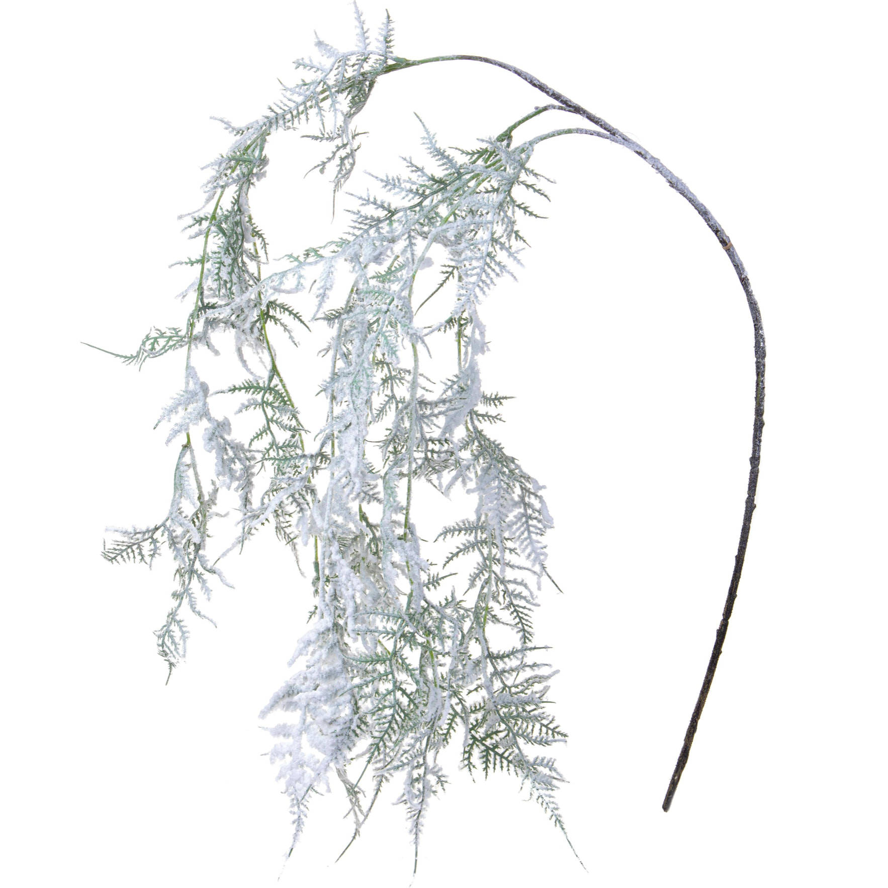 Asparagus - Pezzi 6 - 22xH120x10cm - Bianchi Dino SpA