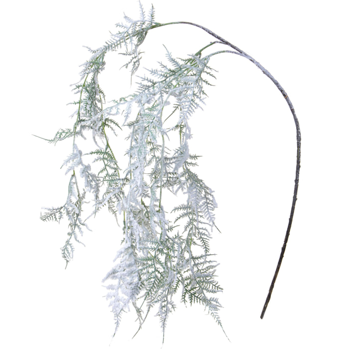 Asparagus - Pezzi 6 - 22xH120x10cm - Bianchi Dino SpA