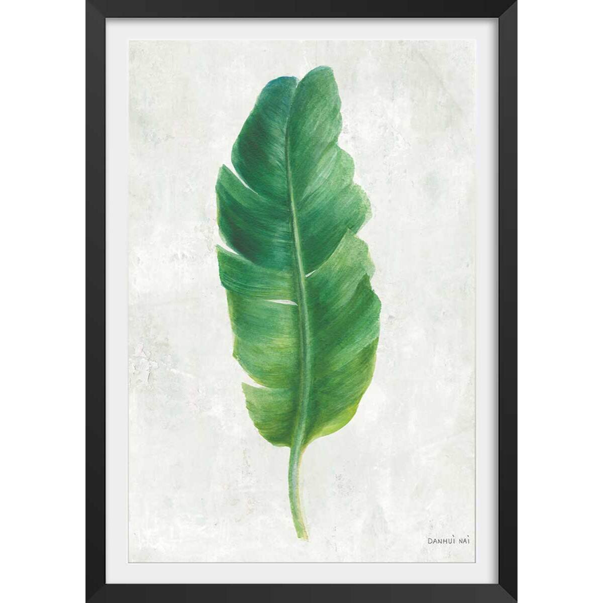 Affiche Feuille de bananier illustrée Affiche + cadre en bois - Noir