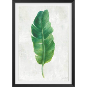 Affiche Feuille de bananier illustrée Affiche + cadre en bois - Noir