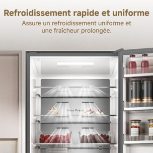 Réfrigérateur combiné DREAME Mega Pro 409L-C Dark Grey