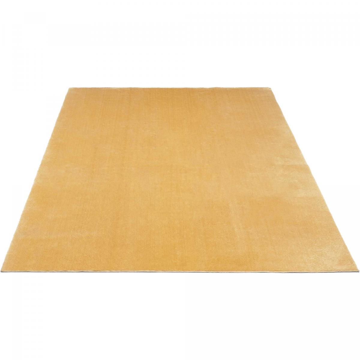 Tapis salon MITA, soft et soyeux, tapis uni à l'aspect Shaggy
