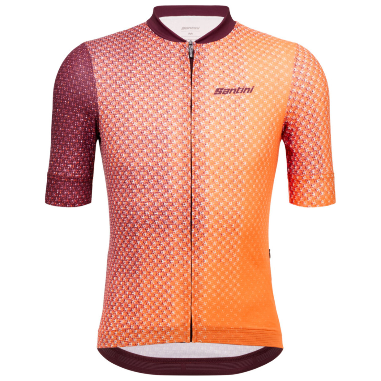 Paws - Maglia - Arancione - Uomo
