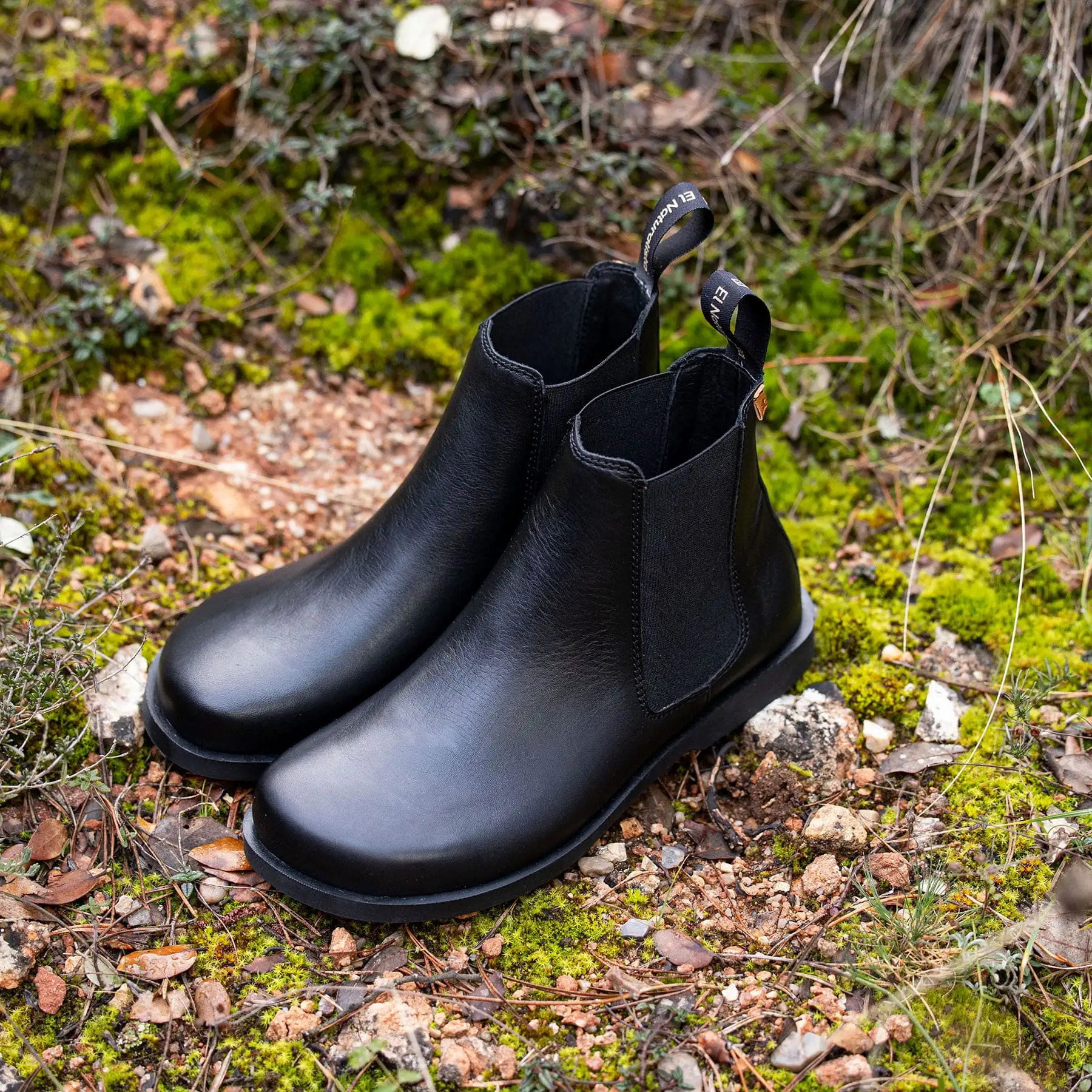 Zapatos N5875 SOFT NAPPA TESTA / ARENISCA color Testa