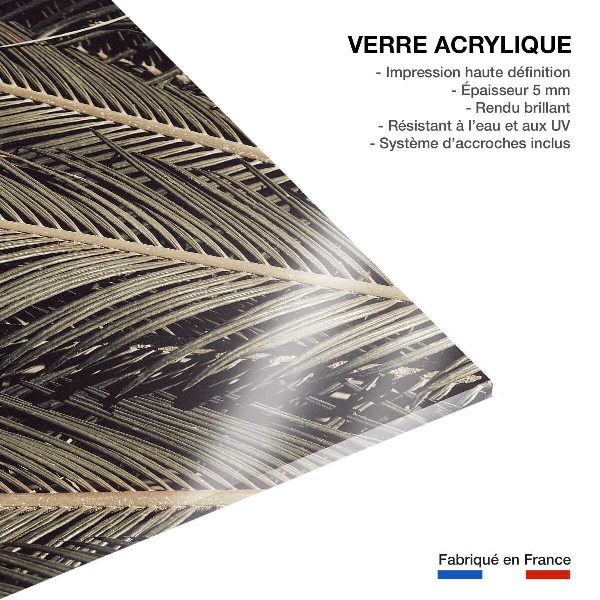 Tableau palm island Tableau plexiglas