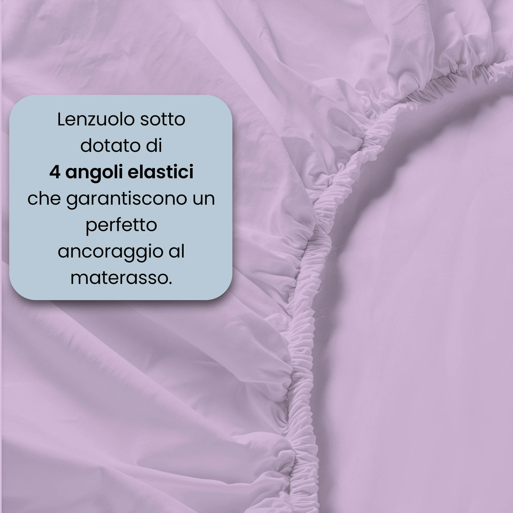 COMPLETO LETTO MAX COLOR, 100% Cotone, Made in Italy - LILLA