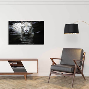 Tableau tigre Regarde moi Tableau plexiglas