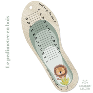 Toise Pédimetre Lion Toise mesurer les pieds de son enfant. Adorable ! Toise en bois .