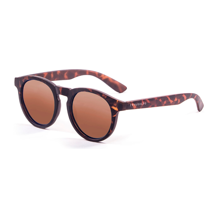 Gafas de sol PALO ALTO NEWPORT - Marrón transparente mate / Ahumada