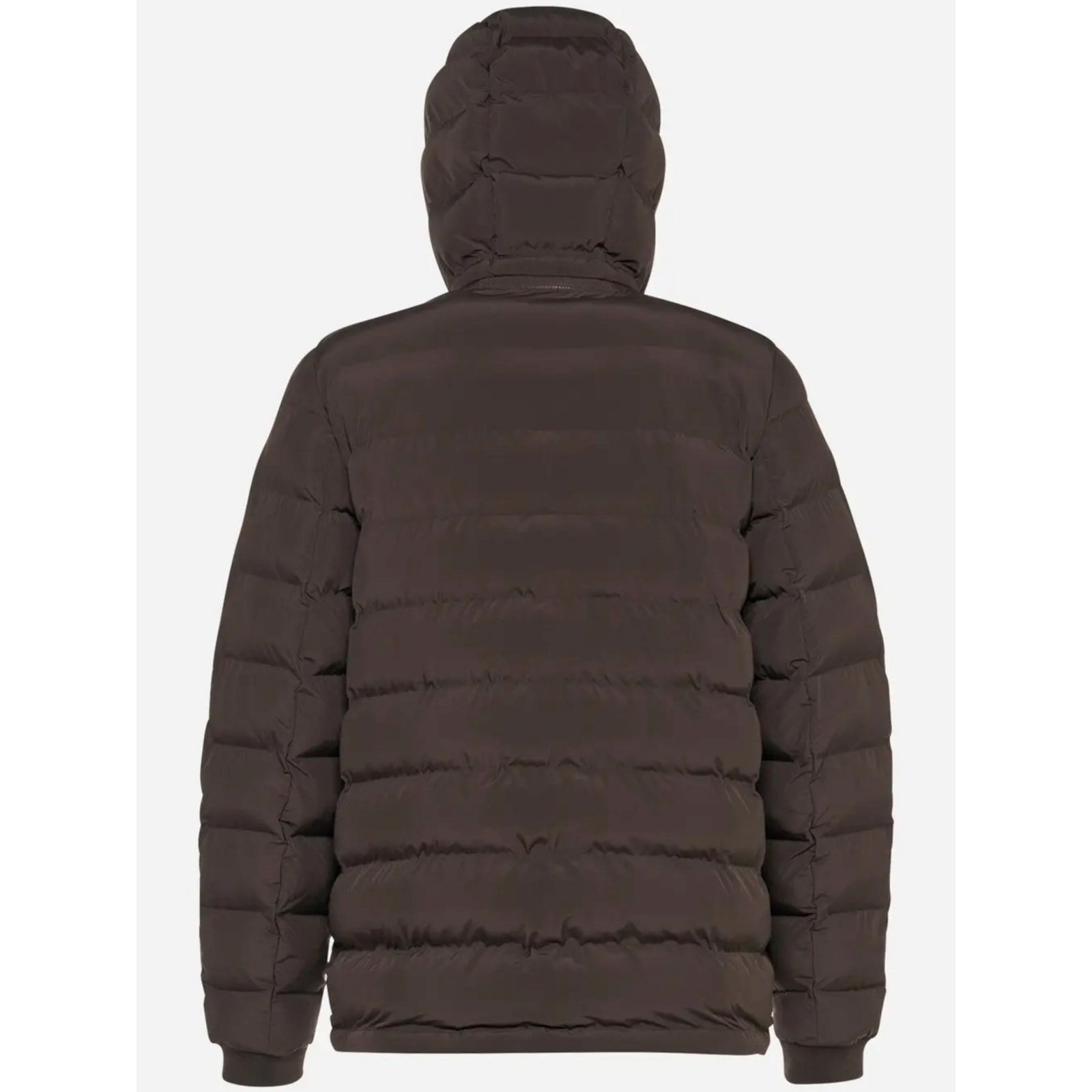 Chaquetas Hombre de la marca GEOX  modelo M SPHERICA MARRON
