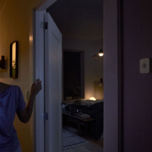 Détecteur de mouvement PHILIPS HUE Motion Sensor