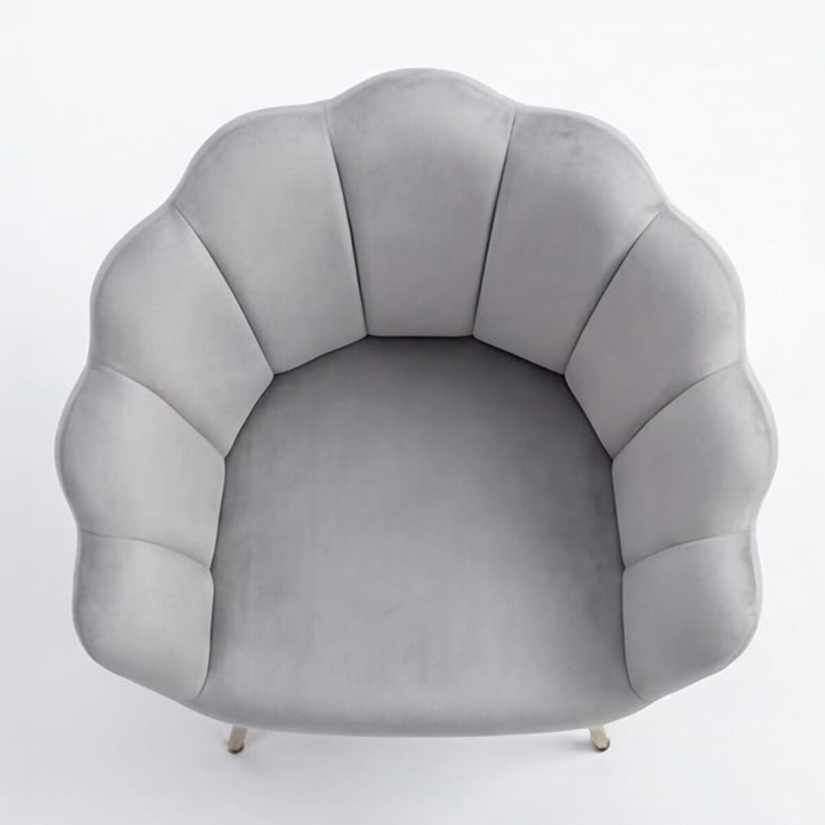 Poltrona in velluto design a conchiglia elegante e moderna, seduta imbottita confortevole con base in legno e gambe in metallo dorato, poltroncina versatile per soggiorno, camera o ufficio, stabile e resistente fino a 100 kg, stile raffinato e decorativo