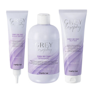 INEBRYA Kit Greylosophy Grey By Day Pre Shampoo 150ml + Shampoo 300ml + Maschera 250ml