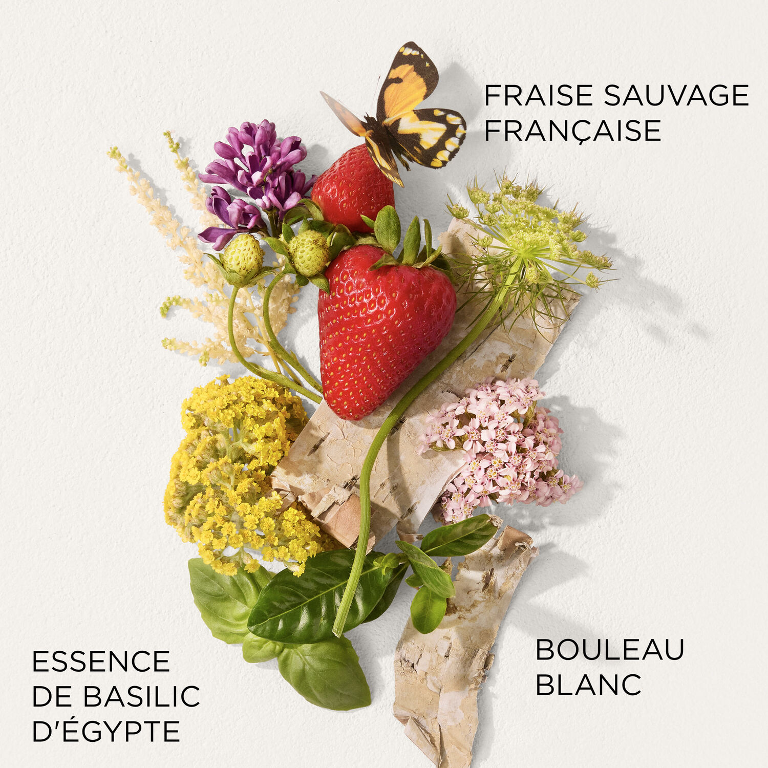 Green Tea Strawberry Basil - Eau de Toilette 50ml