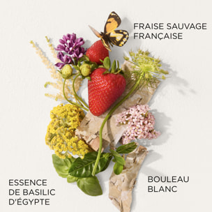 Green Tea Strawberry Basil - Eau de Toilette 50ml