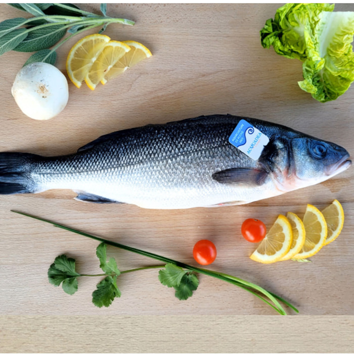 Bar Corse - grillé et vidé - 600g - France - Vives Eaux