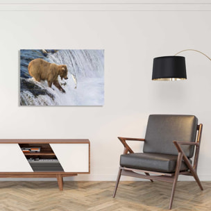 Tableau Un ours pêche sur le bord Tableau alu Dibond