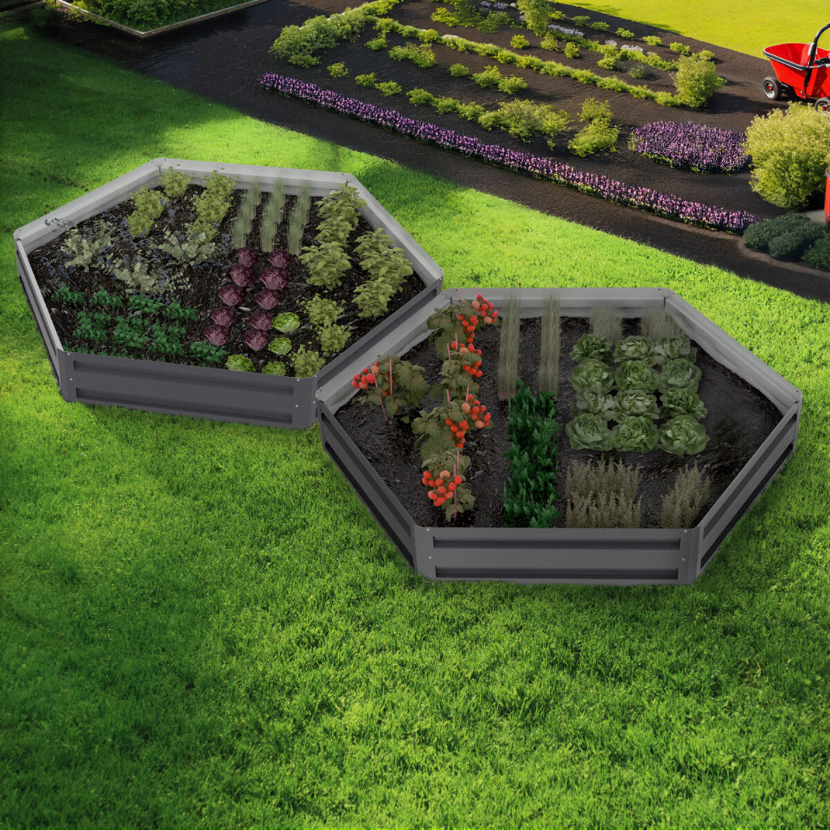 Carrés de potager hexagonaux en métal 120cm - lot de 2