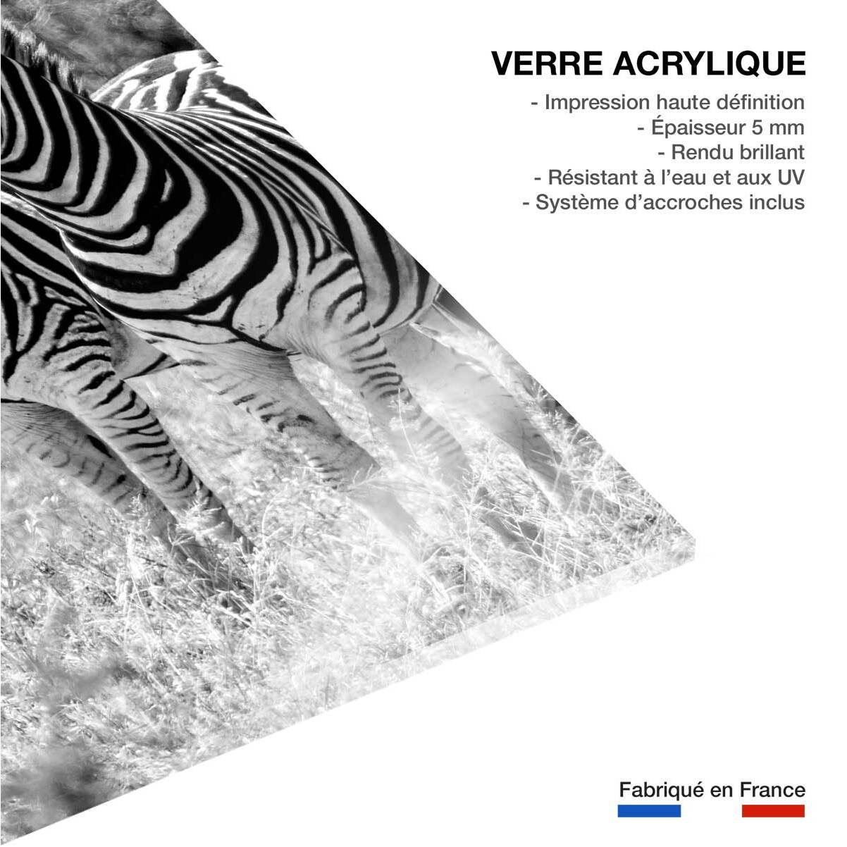Tableau animaux zebre en duo  Tableau plexiglas