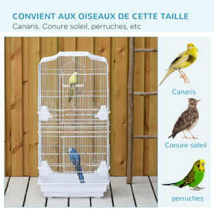 Cage à oiseaux volière avec mangeoires perchoirs plateau amovible 2 portes dim. 46,5L x 35,5l x 92H cm métal blanc