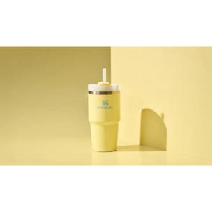 Borraccia Termica Con Cannuccia - 0,59L - QUENCHER® H2.O FLOWSTATE™ TUMBLER - Pomelo
