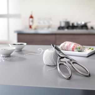 ZWILLING Ciseaux à usages multiples, 20 cm, Acier Inoxydable