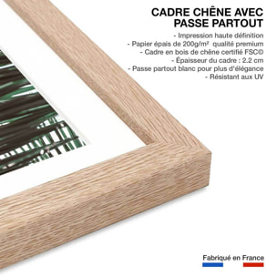 Poster palme verte Affiche + cadre en bois - Chêne
