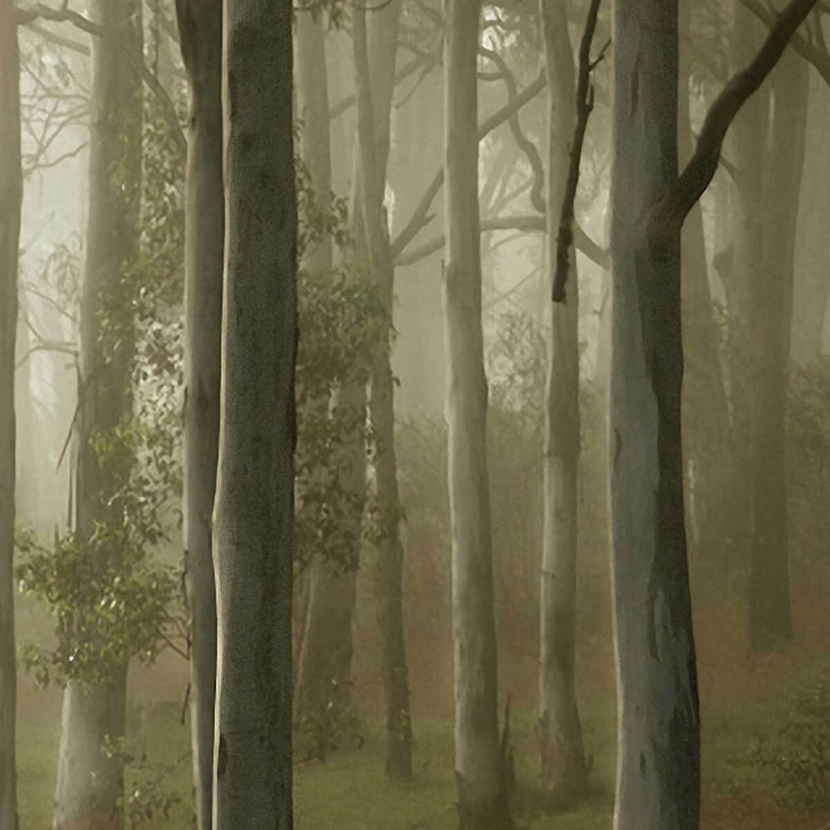 Affiche encadrée – Chevreuil dans une forêt brumeuse Affiche + cadre en métal - Noir