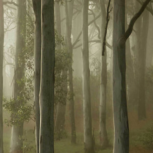 Affiche encadrée – Chevreuil dans une forêt brumeuse Affiche + cadre en métal - Noir