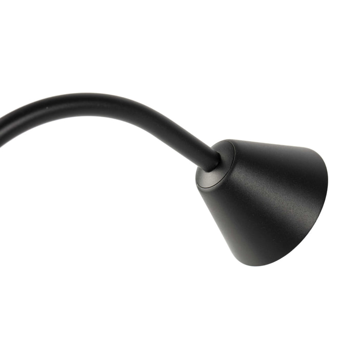 LILY 300 Estaca negra