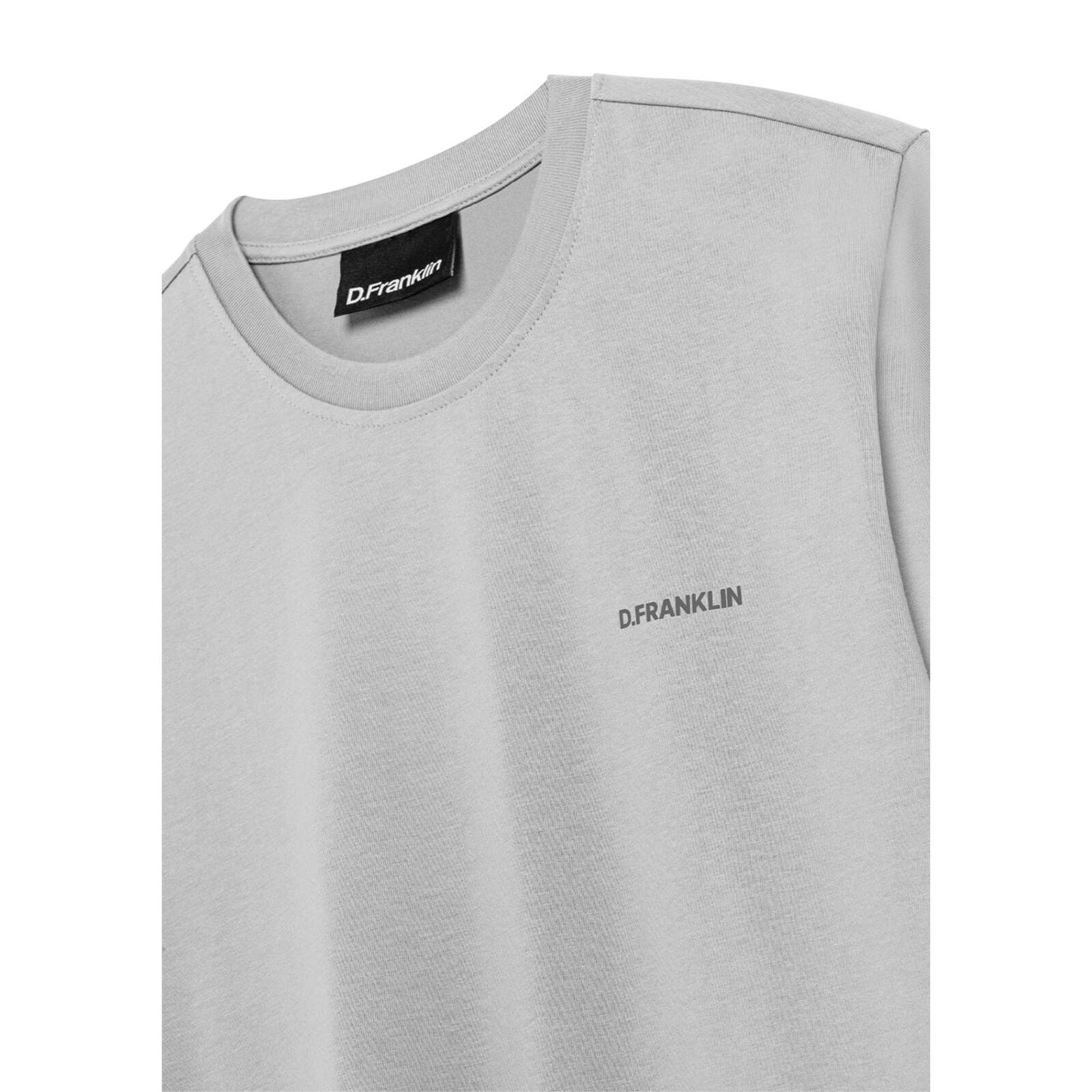 Camiseta Worldwide  Ice Gris