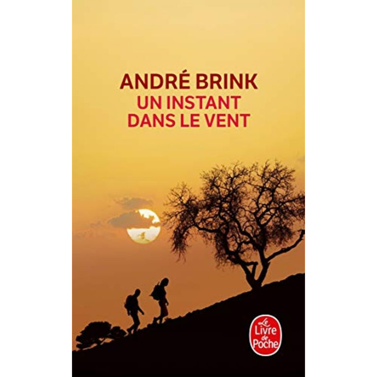 Brink, André | Un instant dans le vent | Livre d'occasion