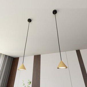 Lampada a sospensione ELIT in acciaio nero opaco e oro