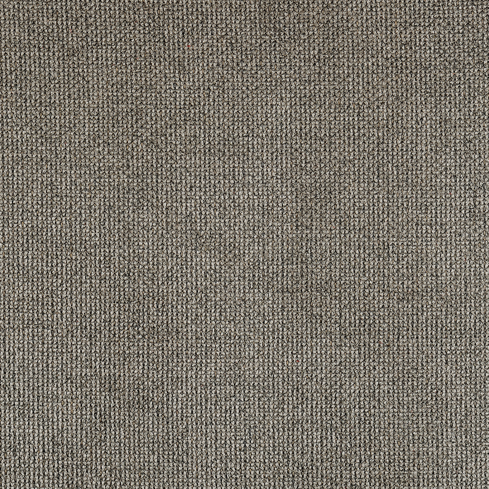 Rideau velours plat à oeillets - Gris anthracite