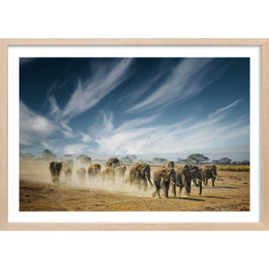 Affiche animaux éléphantfamily Affiche + cadre en bois - Chêne