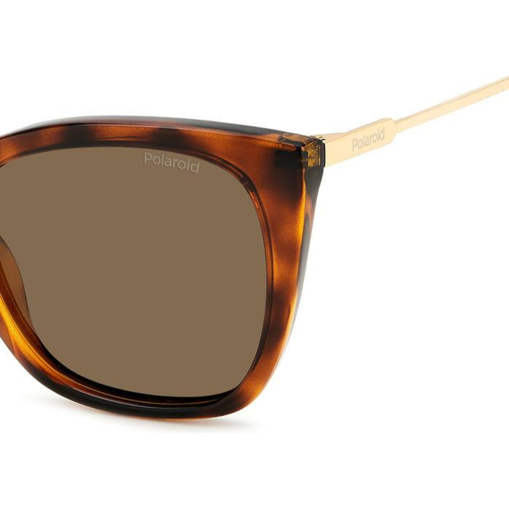 Gafas de Sol Polaroid PLD 4144/S/X 086 Polarizadas de Policarbonato Mujer 52 mm